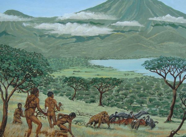 Хомо хабилис Олдувайская культура