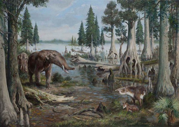 Меловой период Зденек Буриан