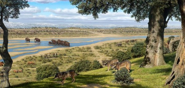 Плейстоцен Флора