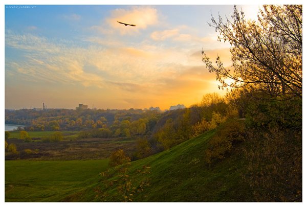 Коломенское лес