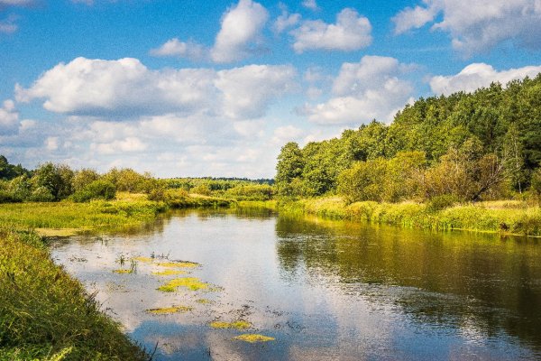 Река Ипуть Брянская область