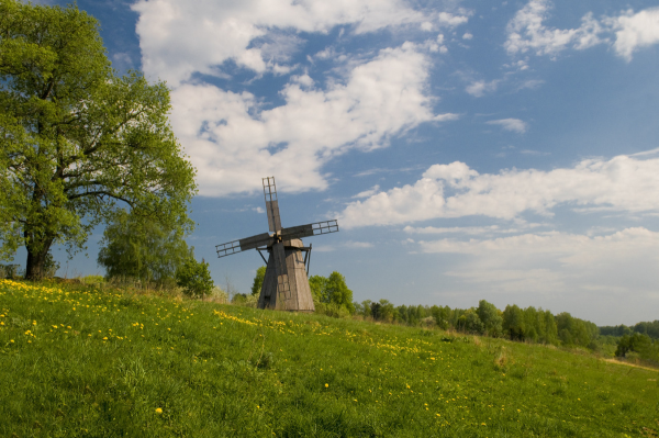 Природа Брянская область Овстуг