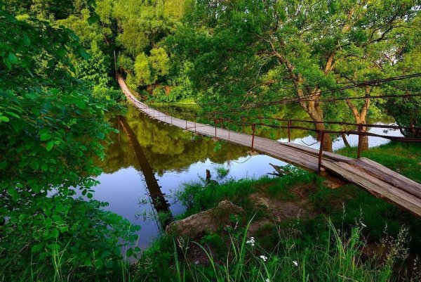 Хотылёво Брянская область мост