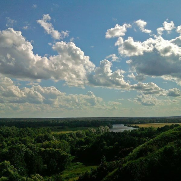 Брянск Брянские просторы