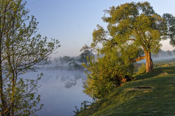 Брянский лес река Десна