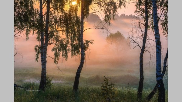 Равнина Брянской области