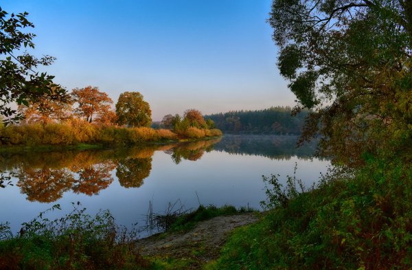 Природа Брянской области