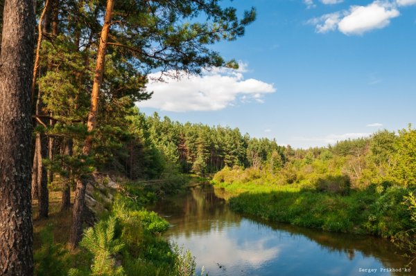Река Ревна Брянская область