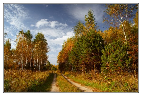 Брянщина лето