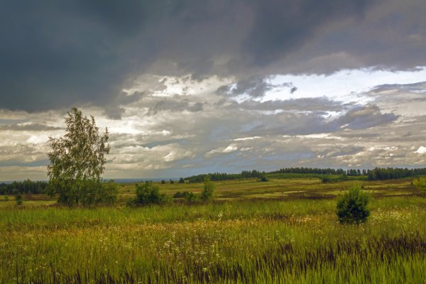 Свенский монастырь Брянск осень