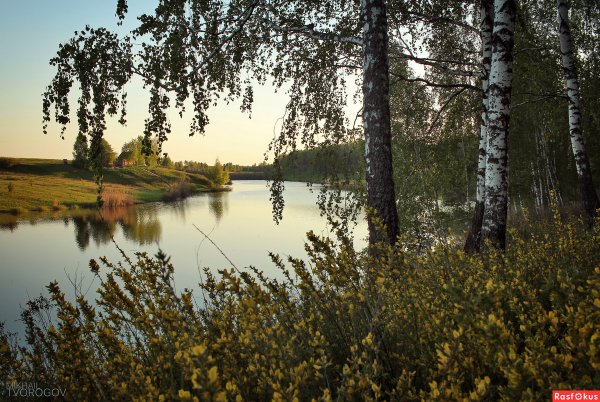 Природа Брянской области