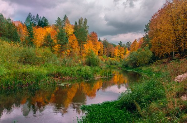 Река Десна Брянск