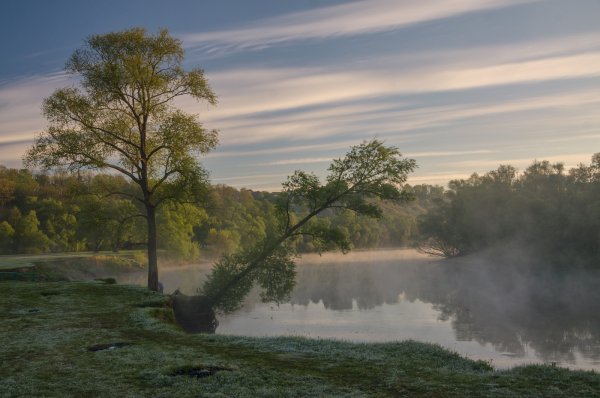Брянские пейзажи фото