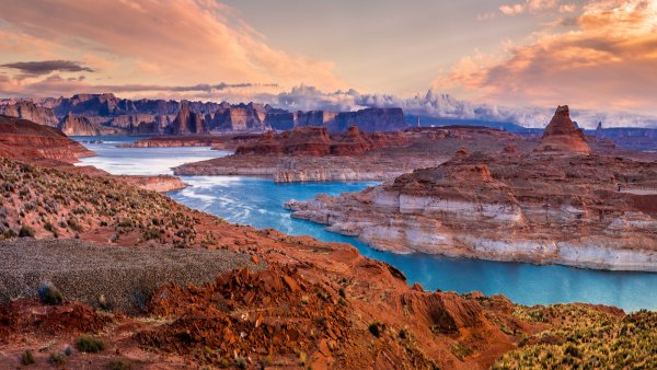 Джорджия США природа