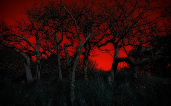 Мрачный пейзаж