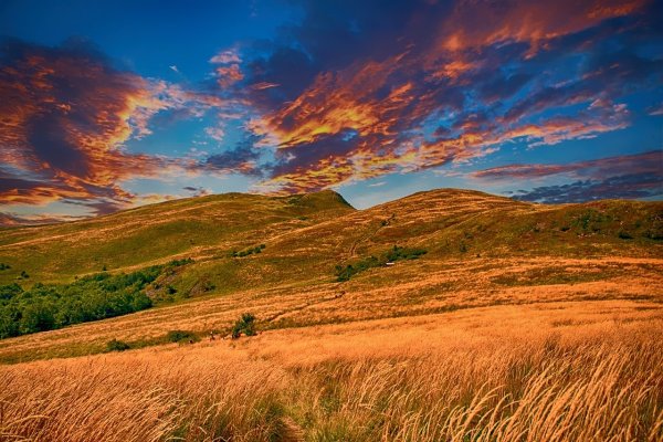 Природа Молдавии в картинах