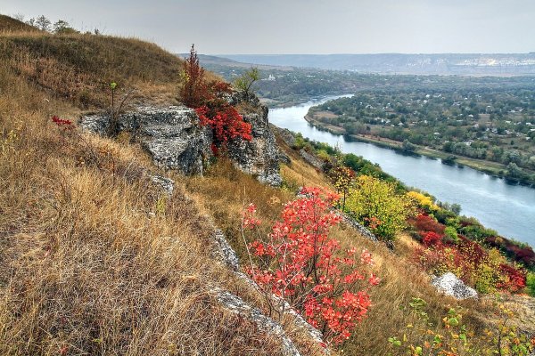 Днестр у Строенцы