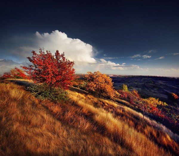 Осенние пейзажи Молдавии