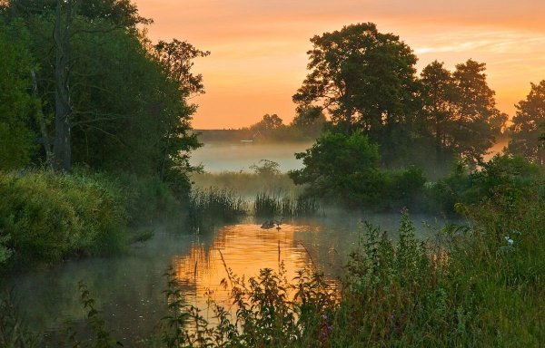 Лето в деревне на речке