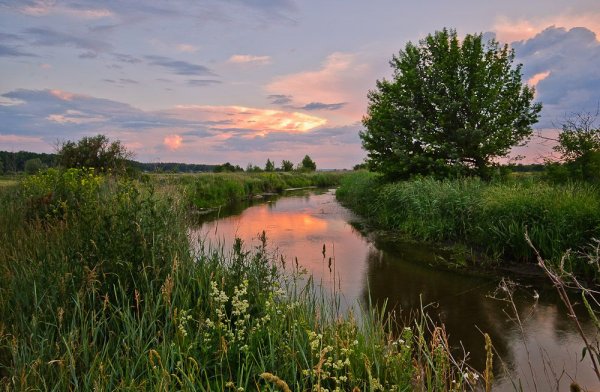Рассвет на реке