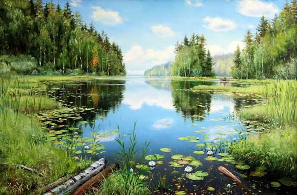 Березовая роща ручей