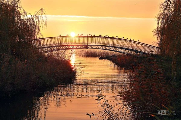 Таганрог пейзаж