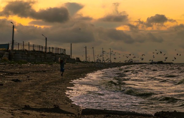 Алексей Адамов художник Таганрог