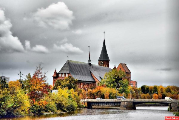 Калининград кафедральный собор осенью