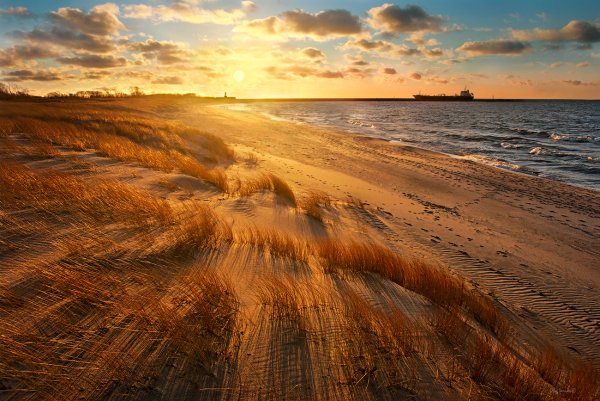 Калининград Куршская коса 1920