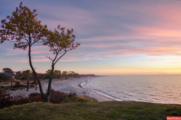 Кафедральный собор Калининград