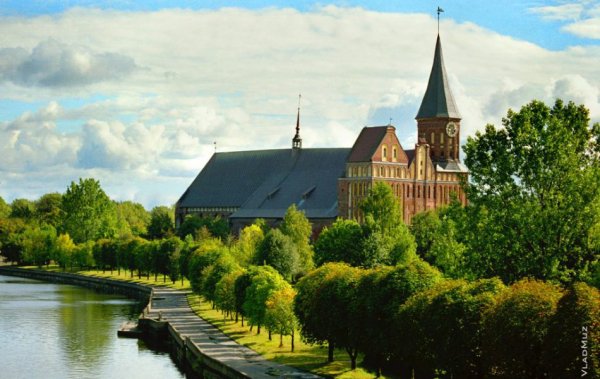 Балтийский берег Куршская коса