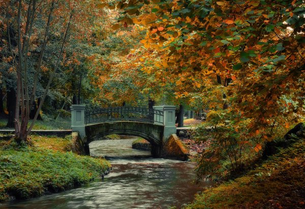 Шторм Балтийское море Калининград