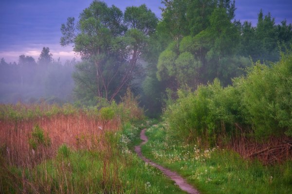 Куршская коса Калининград