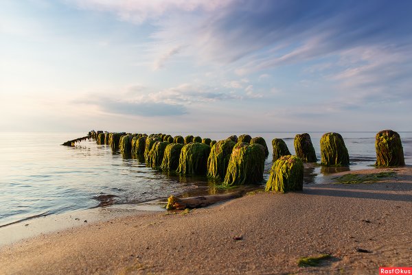 Кирха Бранденбург Ушаково