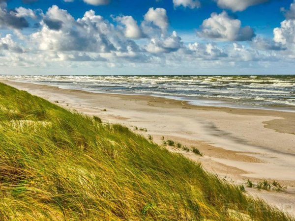 Балтийская коса Калининградская область