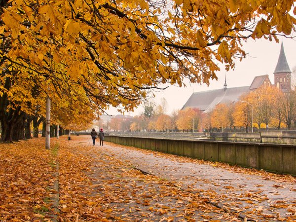 Валерий Притченко фото