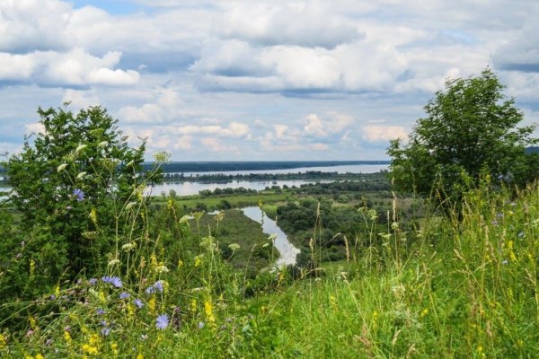 Лысая гора Лысково