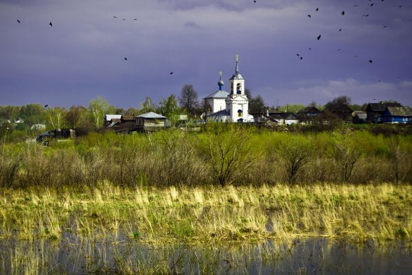 Исады Rondiceras