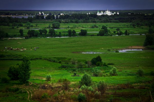 Лысая гора Лысково Волга