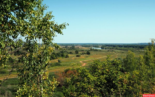 Лысая гора Лысково