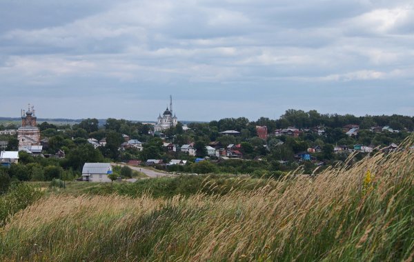 Местный пейзаж