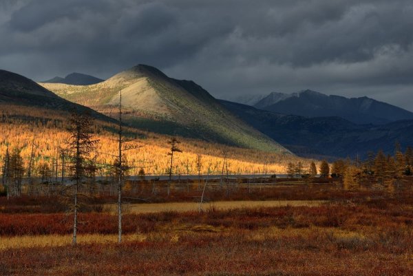 Осень в Синегорье Магаданской области