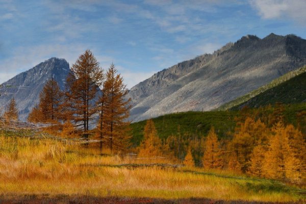 Магаданская область осень природа