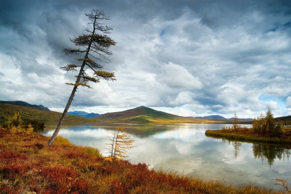 Колыма озеро Джека Лондона