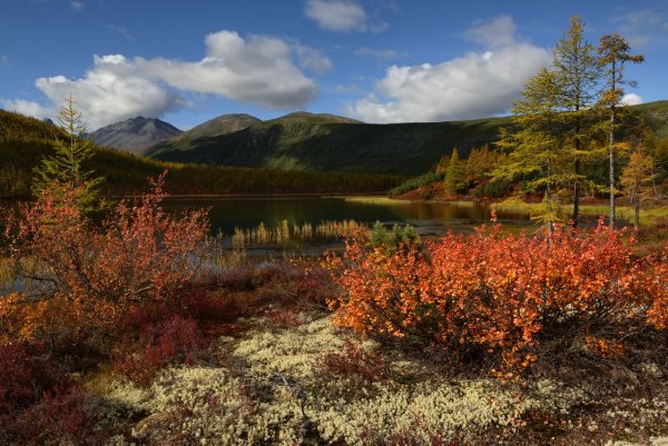 Максим Евдокимов Колыма озеро Джека