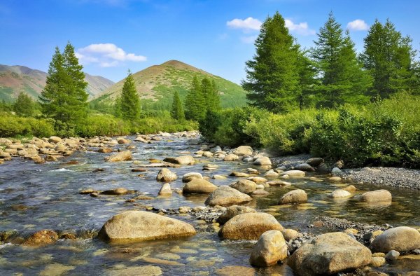 Магадан природа лето