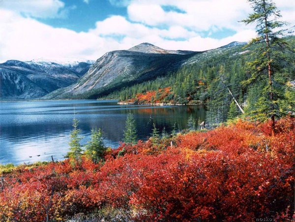 Озеро Джека Лондона остров Вера