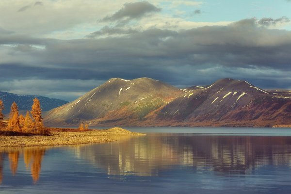 Тайга Колыма