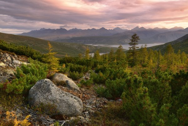 Колыма озеро Джека Лондона