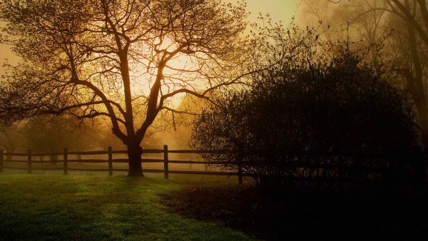 Мистическое озеро